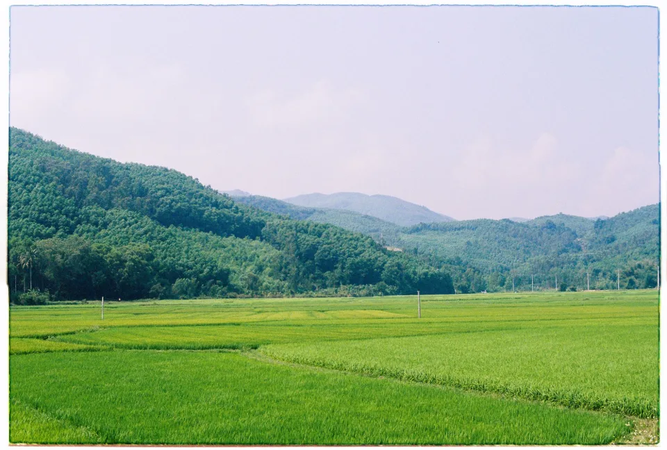 Kho gạo của Lê Thị Ngọc Loan